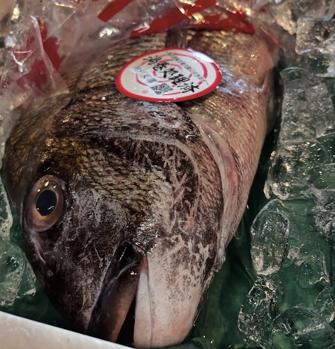 氷で冷やした鮮魚